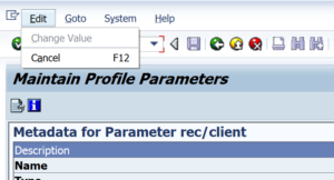 change parameter value rz11